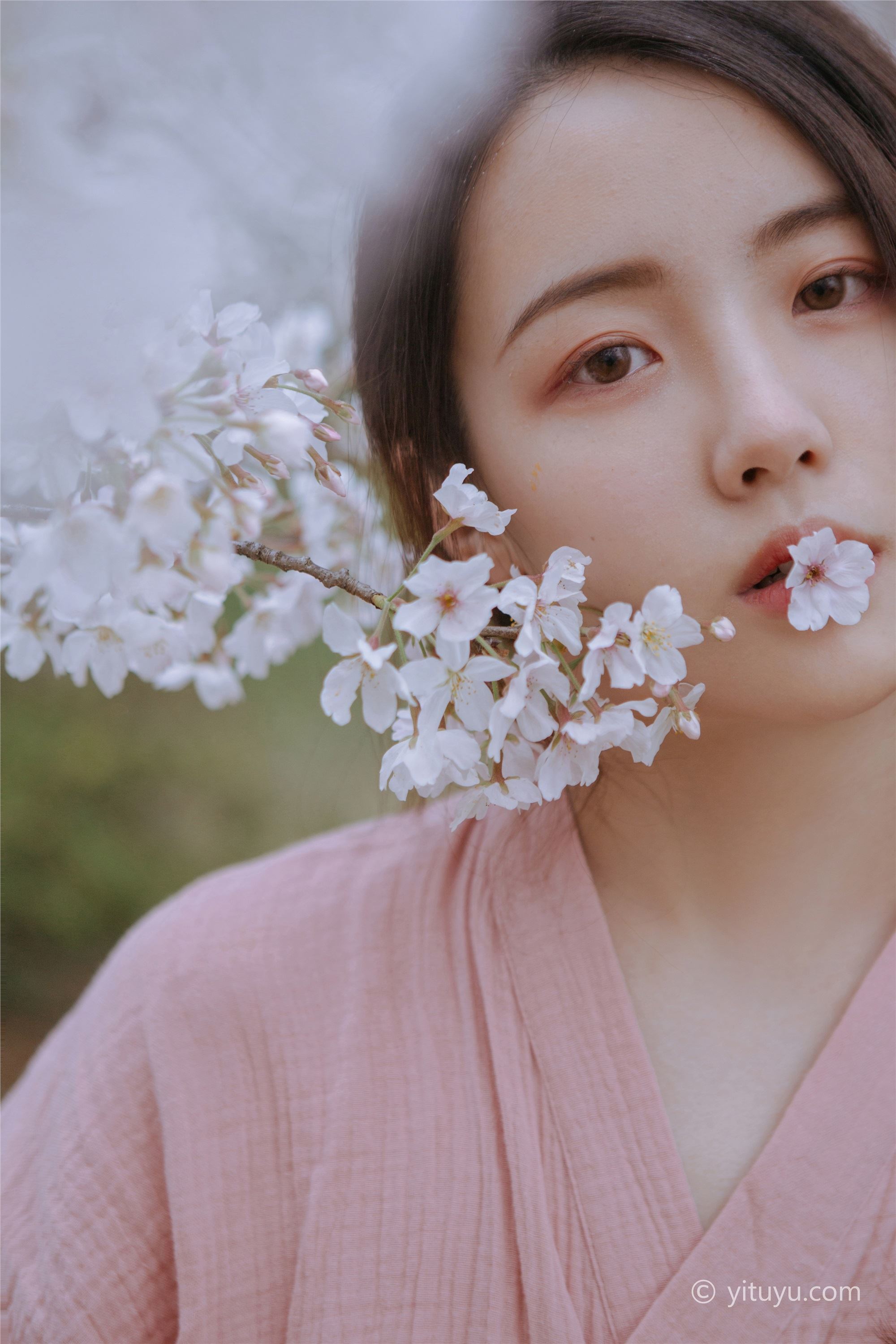 As the wind warms, cherry blossoms will be a small April